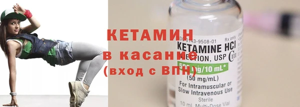 крисы Няндома